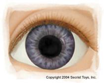 Victorian Blue Acrylic Eyes